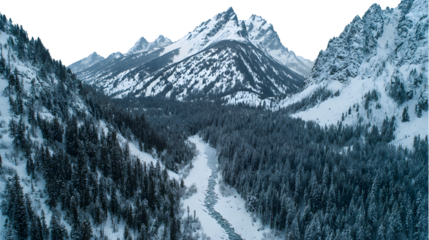 Snowy mountain range covered with trees on a cold winter day isolated on transparent background