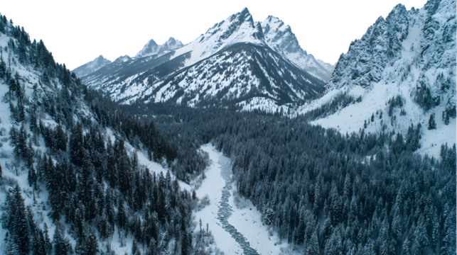 Snowy mountain range covered with trees on a cold winter day isolated on transparent background