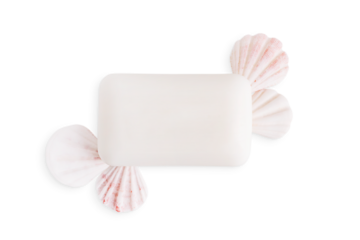 Top view of elegant organic handmade soap bar and natural seashells isolated on white background used for antibacterial hygiene skin care and for aromatic healthy spa relaxation as cleansing cosmetic