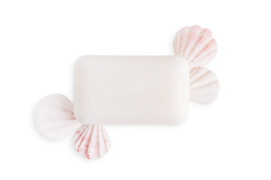 Top view of elegant organic handmade soap bar and natural seashells isolated on white background used for antibacterial hygiene skin care and for aromatic healthy spa relaxation as cleansing cosmetic