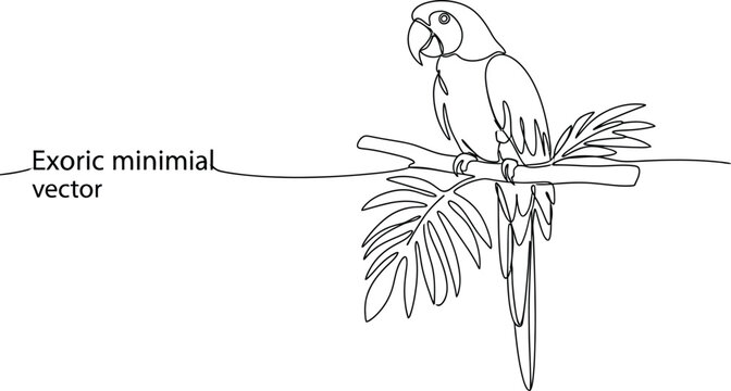 Minimalist line art of a parrot perched on a branch with tropical leaves vector