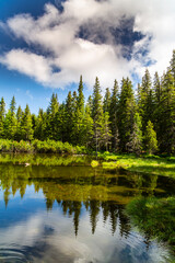 Beautiful fir tree forests, pristine glacier lake, rocks and spring flowers in the Transylvanian Alps in summer