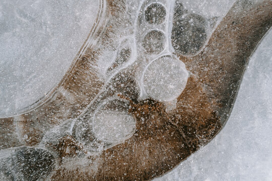 Gefrorene Luftblasen in einer Pf&uuml;tze