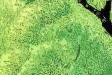 Obraz premium Various oil paintings, flowers, roses, peonies, butterflies, chrysanthemums, landscapes, forests, lakes, figures, elephants