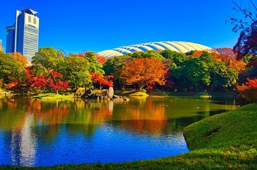 小石川後楽園の紅葉