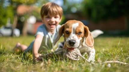 Happy boy playing tug of war with his Beagle dog on a grassy lawn. Child and pet having fun with a rope toy outdoors. For pet store advertising, dog and puppy food, pet shelter.