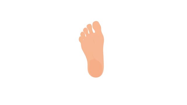 Minimalist flat lay foot arrangement on white background