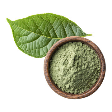Organic Banaba Leaf with Herbal Green Powder in Wooden Bowl Isolated on a Transparent Background