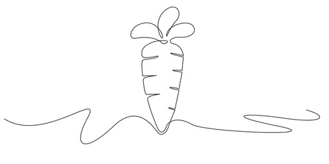 Continuous line drawing of a carrot.single line illustration suitable for organic food themes, fresh produce, farming, healthy eating, vegetable icons, nutrition concepts, and culinary design.