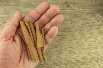 A man holds cinnamon sticks, oriental spices for tea.