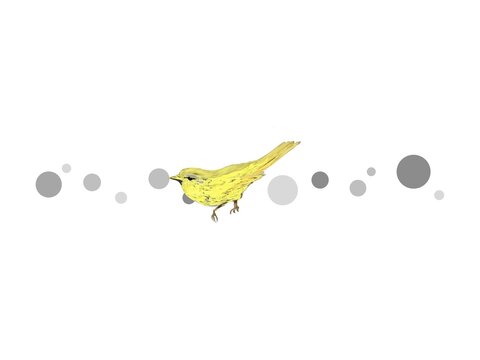 シンプルな黄色い鳥のイラスト