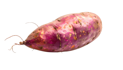 Isolated, close-up shot of a purple-skinned sweet potato with a black background