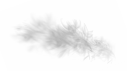 PNG Overlay of Smoky Gray Mist with Transparent Effect on transparent background