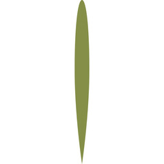 Obraz premium Olive Green Elongated Oval Shape With Transparent Background Ideal for Graphic Design and Digital Art Elements