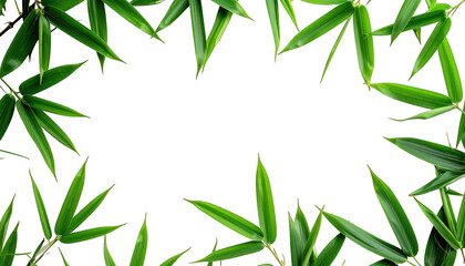 Naklejka premium Vibrant green leaves, arranged in a frame, on a stark black background