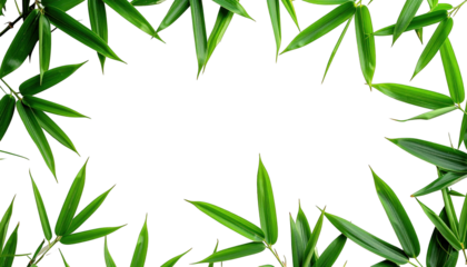 Vibrant green leaves, arranged in a frame, on a stark black background