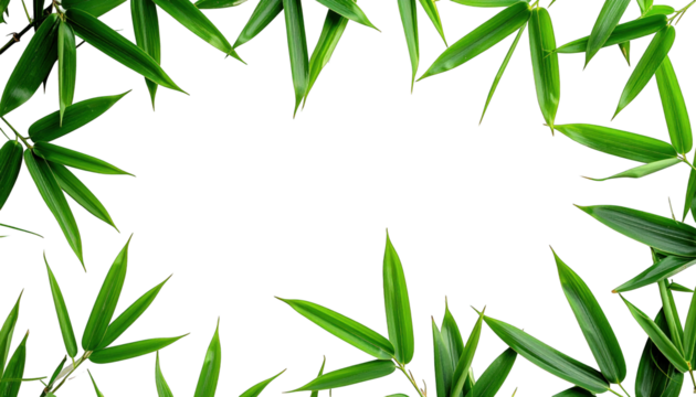 Vibrant green leaves, arranged in a frame, on a stark black background