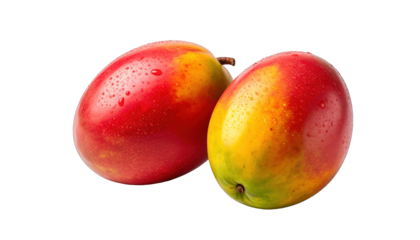 Two vibrant, ripe mangoes with red and yellow hues, isolated on black