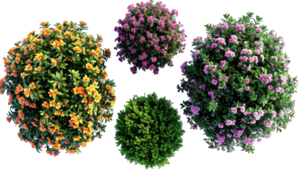 Four diverse, flowering and green bushes of varying sizes and hues, isolated