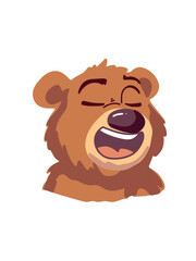 fluffy bear close up on white backdrop