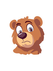 cute bear portrait on white background