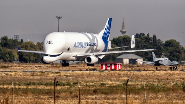 Madrid, Spain; 10-28-2025: Airbus Beluga XL cargo aircraft taking off from Airbus Getafe base near Madrid, Spain, with the iconic Torre Espa&ntilde;a TV tower visible in the background