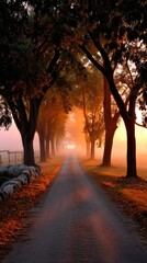 Autumn Avenue Silhouettes Against Warm Amber Haze