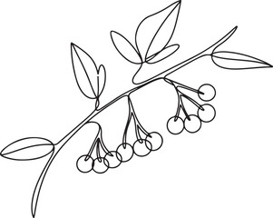 Continuous line art illustration of twig with small berries attached using handmade contour