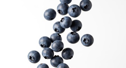 Falling Blueberry isolated on white background, full depth of field