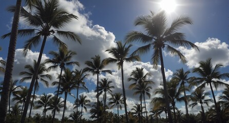 Obraz premium tropical palm trees against a bright blue sky with fluffy white clouds on a sunny day.