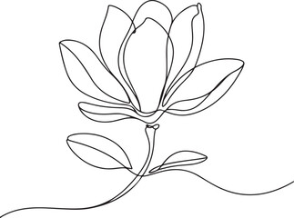 Continuous line art illustration of elegant magnolia flower with petals using hand-sketched contour