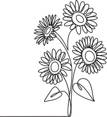 Continuous line art illustration of multiple sunflowers together with hand-sketched contour