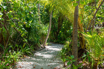 Tropical Beach Paradise in Mathiveri, Maldives