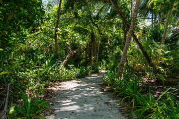 Tropical Beach Paradise in Mathiveri, Maldives