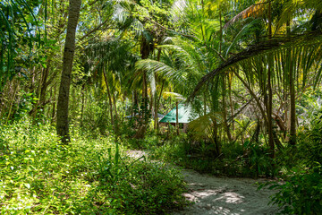 Tropical Beach Paradise in Mathiveri, Maldives