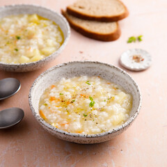 Thick vegetable soup with rice