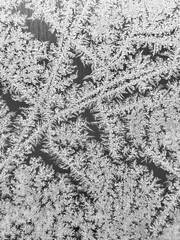 Frost patterns on frozen surface, winter frosty texture