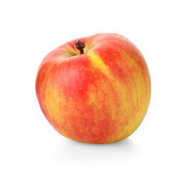 One fresh ripe apple isolated on white