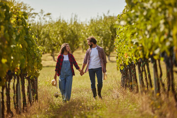 On a sunny day, a couple strolls hand in hand through their family vineyard, enjoying the lush green vines and the scenic beauty of wine production.