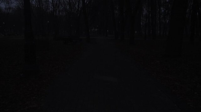 predawn wooded path toward lake, dim silhouettes of leafless trees and wet pavement create low‑light moody