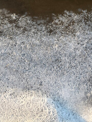 Ice crystals structure on the surface of frozen lake
