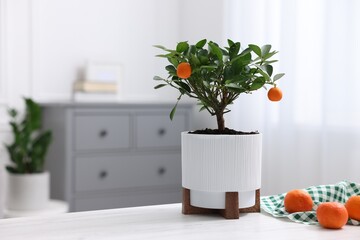 Potted tangerine tree and fresh fruits on white wooden table indoors, space for text