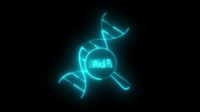 glowing neon DNA Analysis icon animation on black background. DNA analysis Icon. Magnifying glass and DNA. Genetic engineering, genetics testing, cloning, paternity testing.