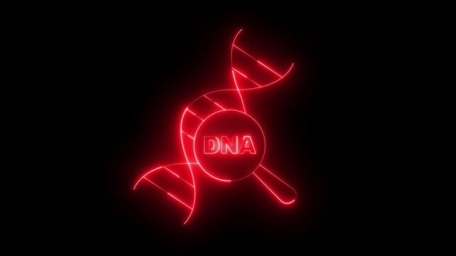 glowing neon DNA Analysis icon animation on black background. DNA analysis Icon. Magnifying glass and DNA. Genetic engineering, genetics testing, cloning, paternity testing.