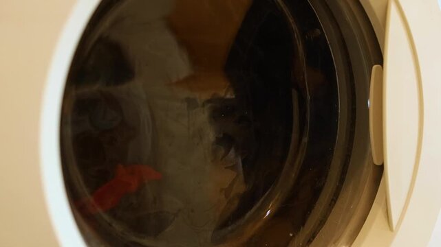 Extreme close-up view of the dark, reflective surface of a washing machine drum spinning at high speed, emphasizing the movement and power of the empty appliance.