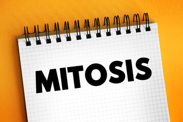Mitosis is a part of the cell cycle in which replicated chromosomes are separated into two new nuclei, text concept on notepad