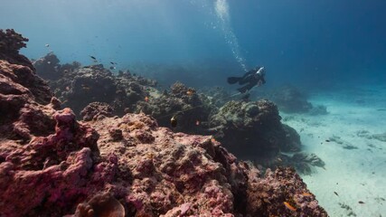 POV underwater shot following two Marine Scientists as they conduct research on a tropical coral reef