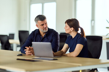 Professional Team Discussing Work on Laptop in a Modern Office During a Meeting