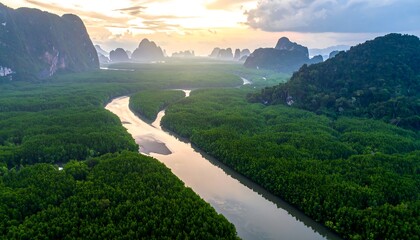 Aerial view of a river flowing through a lush, green forest, with mountains in the distance under a cloudy sky