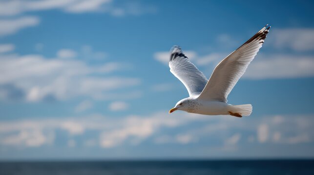 Solitary seagull in flight against a vibrant blue sky